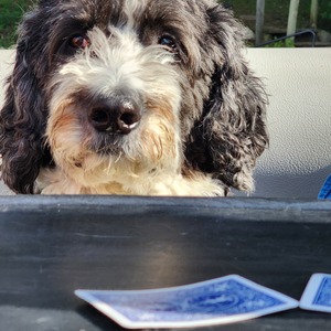 Fundraising Page: Carole Catherine